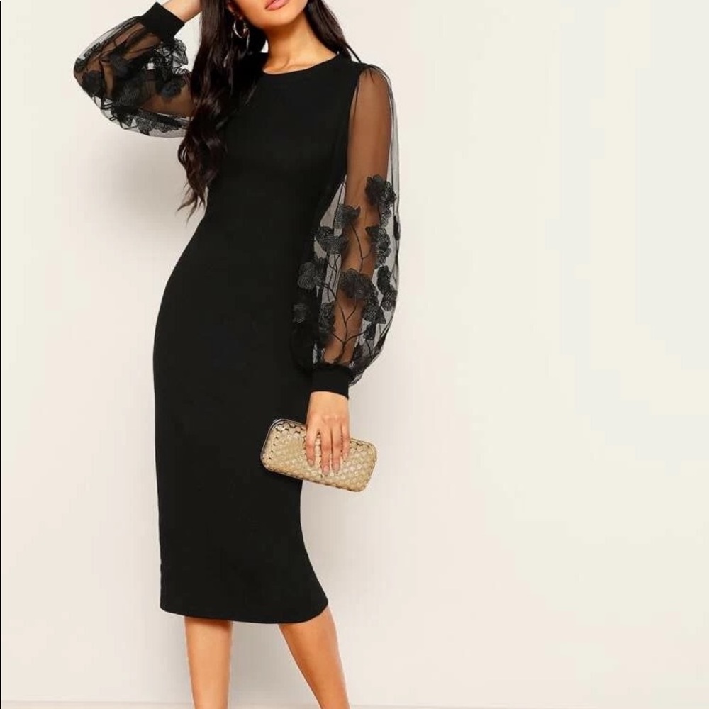 Embroidery Mesh Insert Bishop Sleeve Fitted Dress NWOT never worn